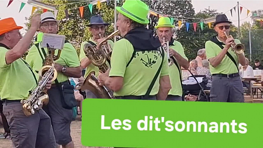 TvLocale des Acteurs Locaux 79 -  fête populaire à Allonne dans les Deux-Sèvres 